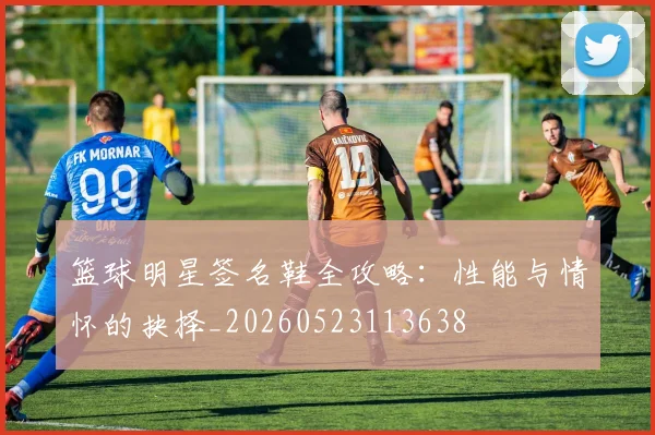 篮球明星签名鞋全攻略：性能与情怀的抉择_20260523113638