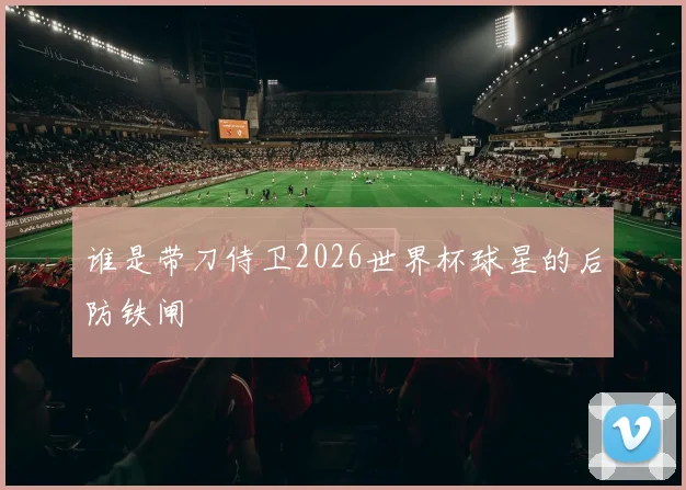 谁是带刀侍卫2026世界杯球星的后防铁闸